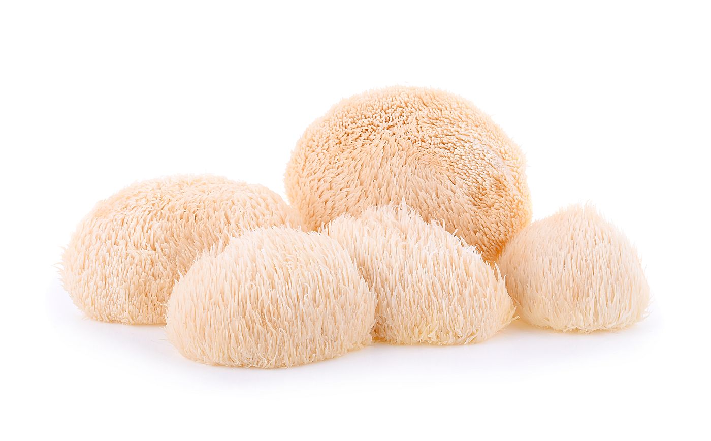 Wie Hericium Erinaceus deine deine Ernärung zu bereichern kann